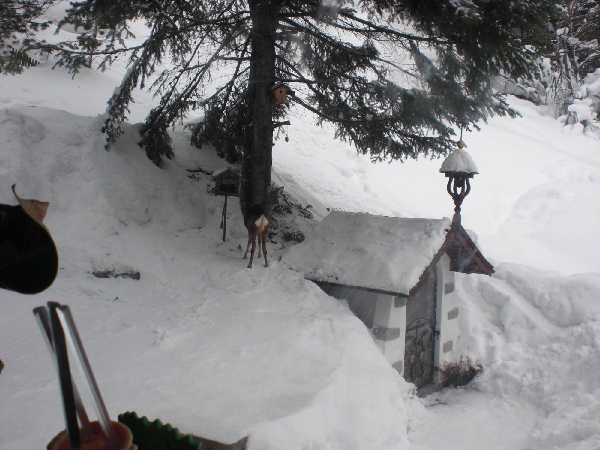 Hotel Haus Waldheim Sankt Leonhard im Pitztal Esterno foto