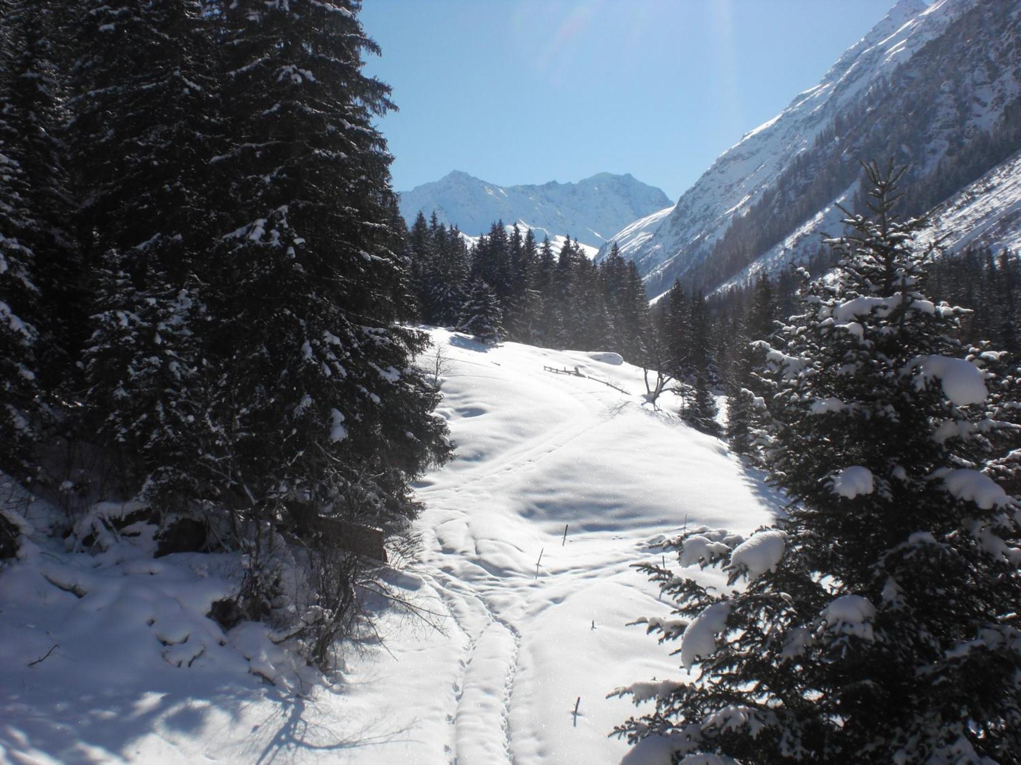 Hotel Haus Waldheim Sankt Leonhard im Pitztal Esterno foto